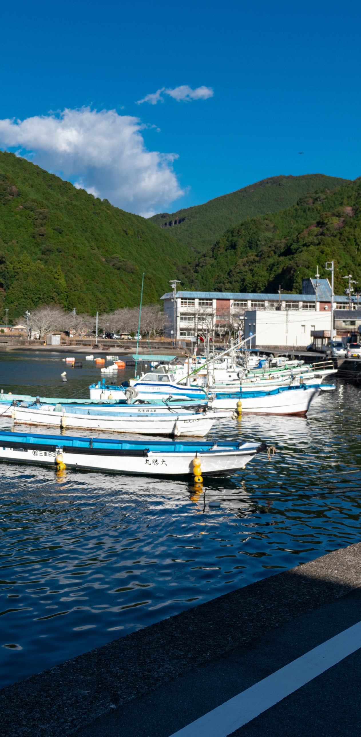 地域での役割